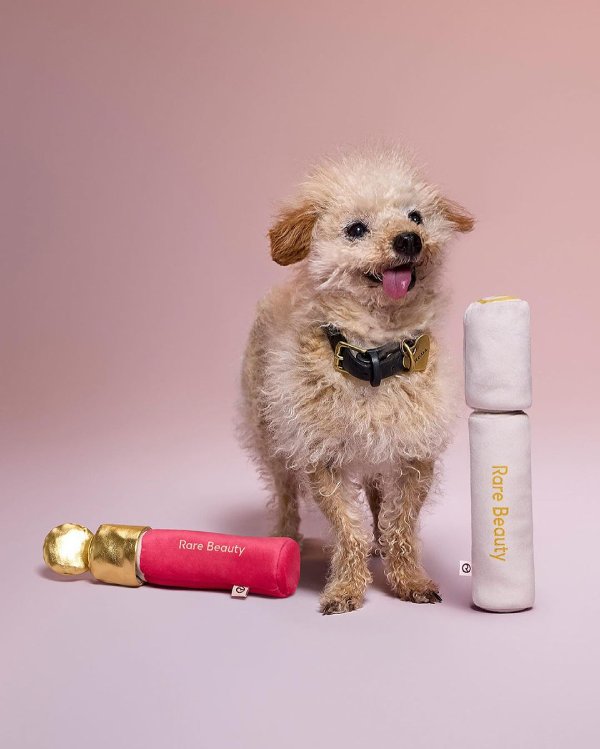 Rare Beauty’s Makeup-Inspired Pet Toys Are Paw-Fect for Your Furry Friend!